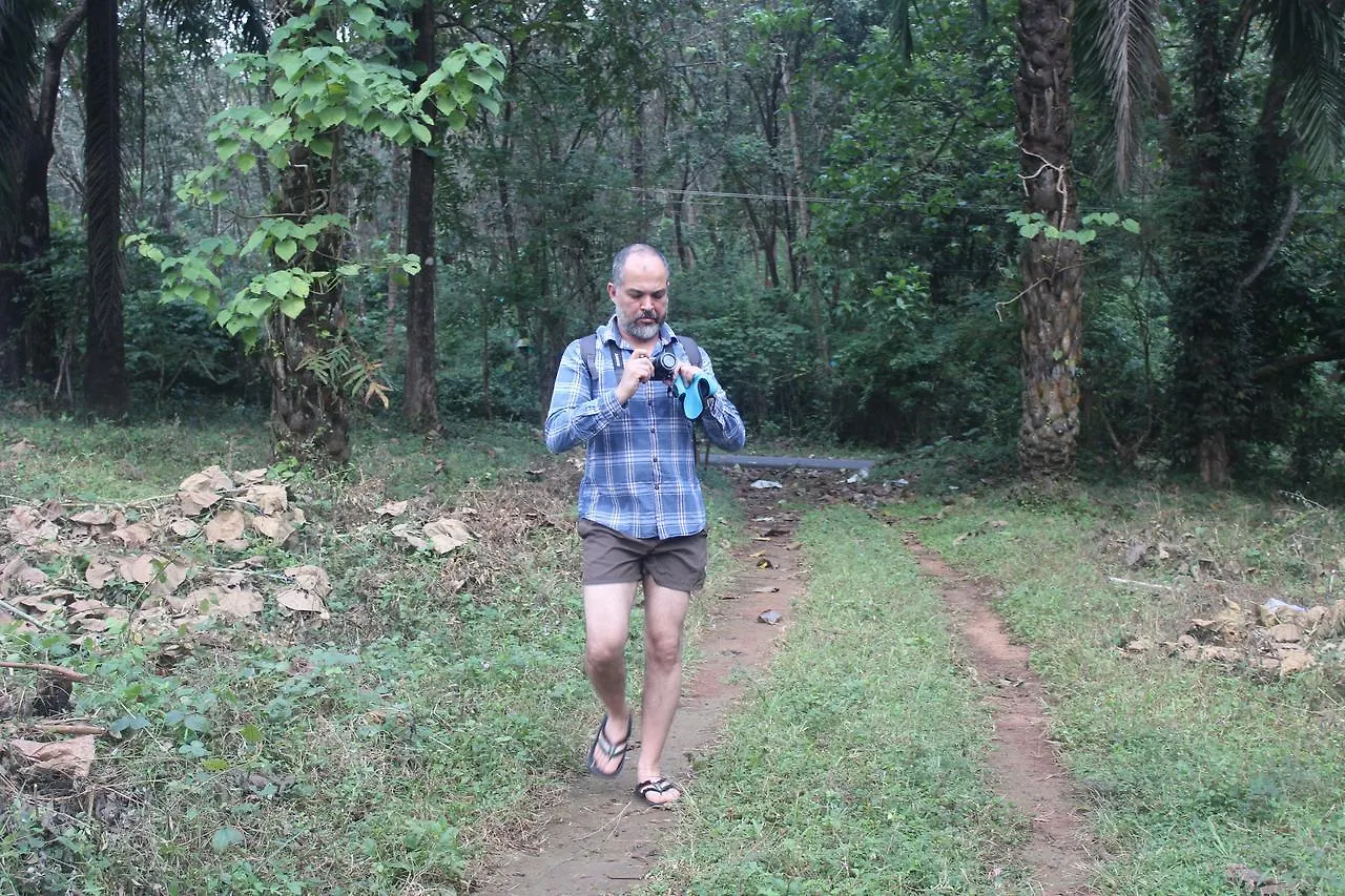 **** Resort Athirapally Green Trees Athirappilly India